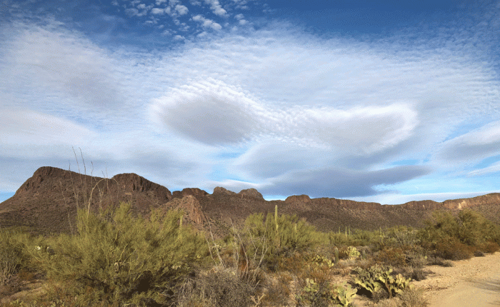 February in Arizona – Part 1